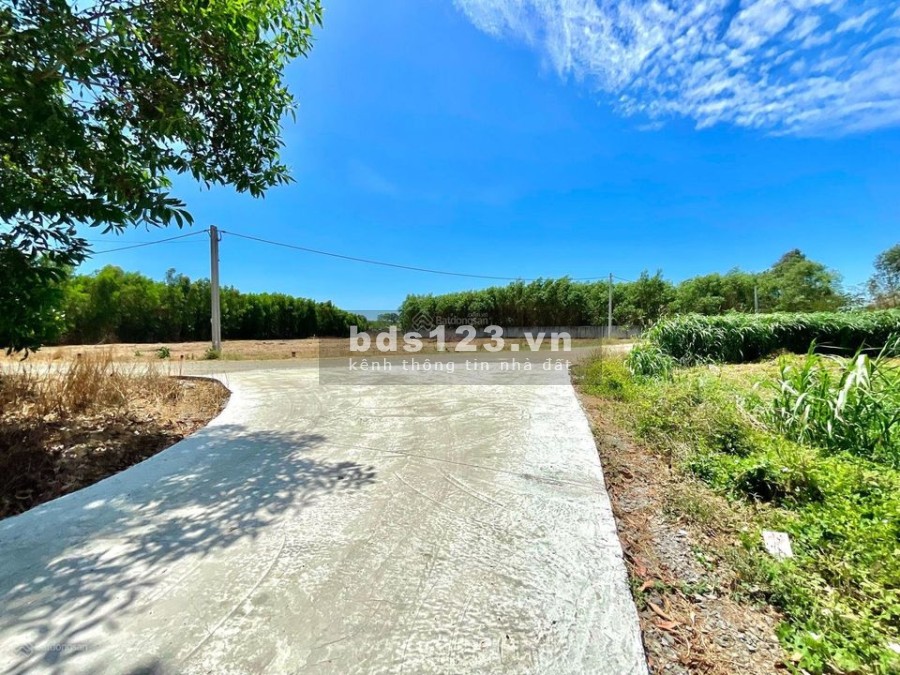 Chủ cần tiền cưới vợ nên chủ bán rẻ lô đất gần khu công nghiệp 2000ha giá tốt