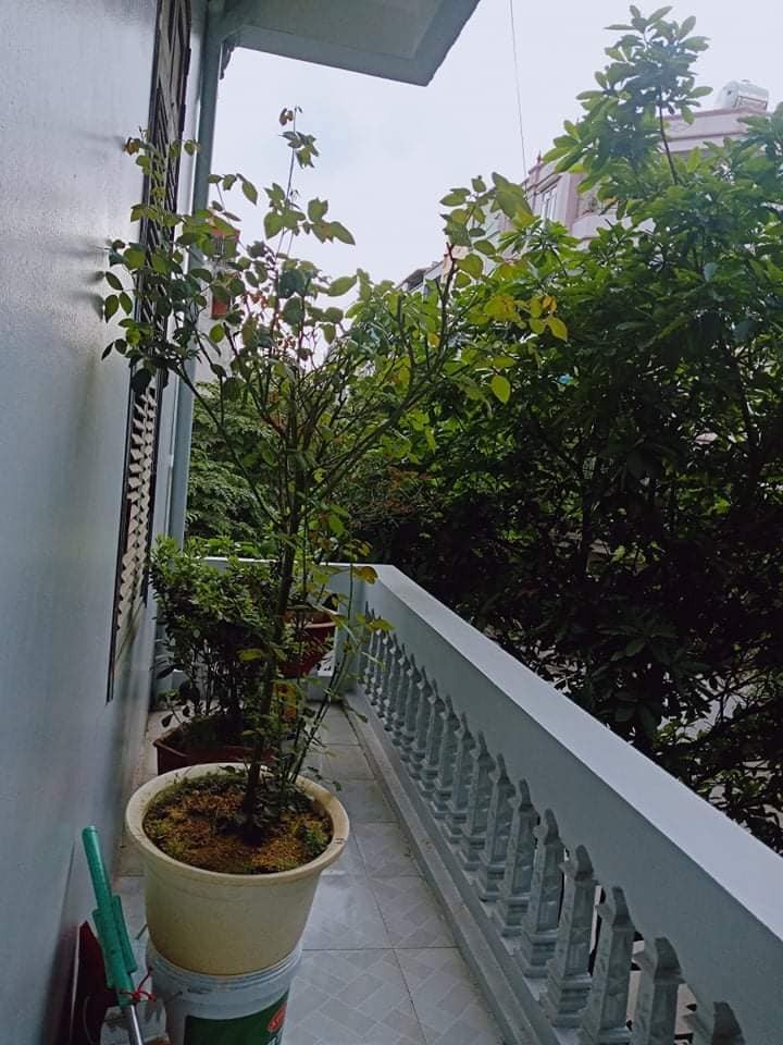 Chỉ 2.9 tỷ dọn về ở ngay nhà 5 tầng Sài Đồng Long Biên, kinh doanh thuận tiện ngày đêm