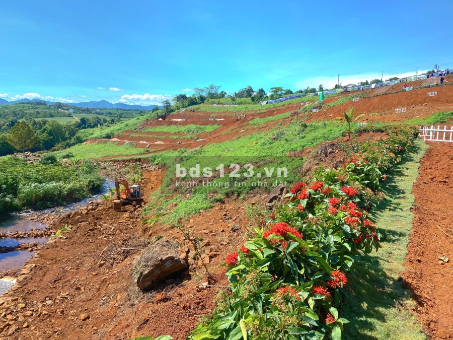 Dambri Hill vẻ đẹp trên từng centimet khu đẹp nhất, tiện ích đầy đủ, pháp lý chuẩn