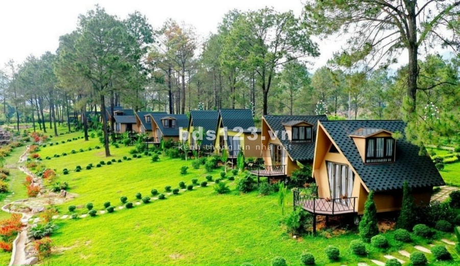 Cơ hội đầu tư sinh lời trước giờ G khởi công cao tốc đất thổ cư giá tốt đầu tư sinh lời