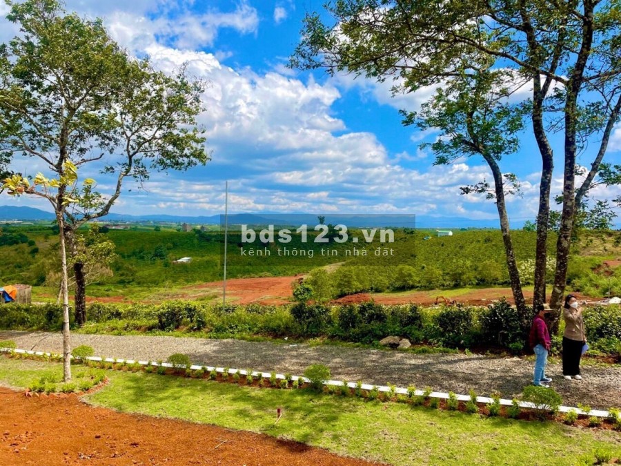 Cơ hội đầu tư sinh lời trước giờ G khởi công cao tốc đất thổ cư giá tốt đầu tư sinh lời