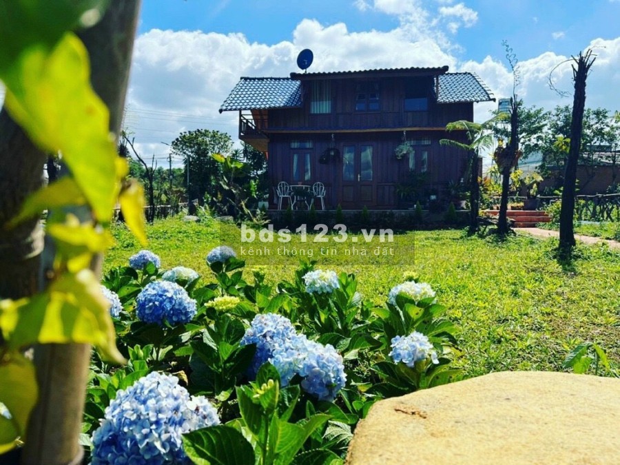 Cơ hội đầu tư sinh lời trước giờ G khởi công cao tốc đất thổ cư giá tốt đầu tư sinh lời