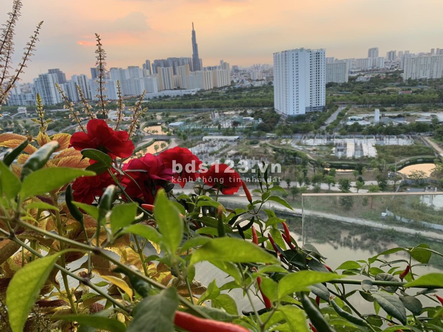 Cập nhật giở hàng bán đảo Kim Cương, nơi đáng sống ở Sài Thành, tháng 5/2022