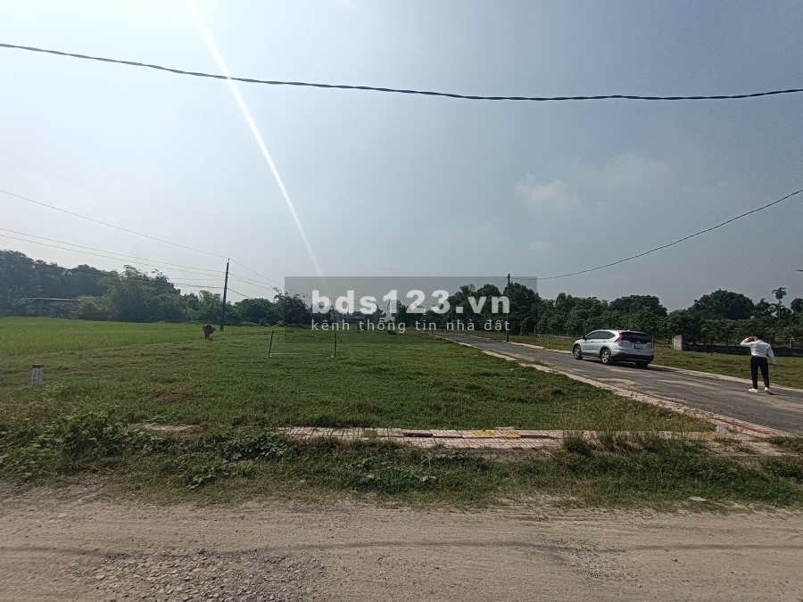 Bán đất chính chủ cần bán gấp giá cả phải chăng, diện tích rộng, khu dân cư đông đúc
