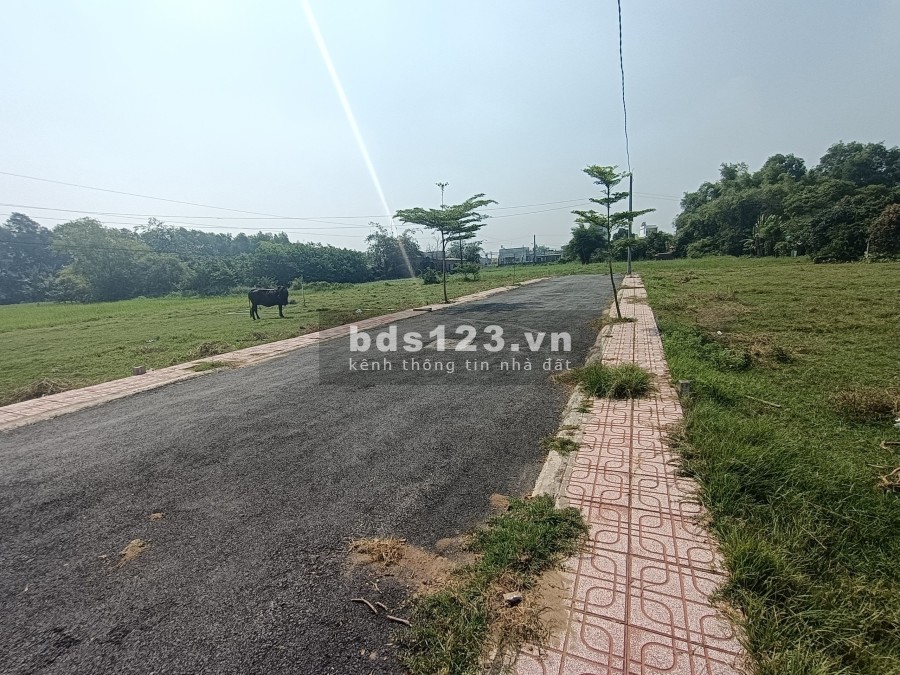 Bán đất chính chủ cần bán gấp giá cả phải chăng, diện tích rộng, khu dân cư đông đúc
