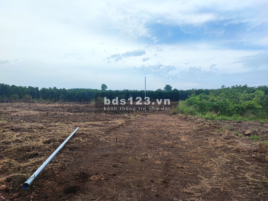 Đất sào 950 triệu xã Hưng Thịnh huyện Trảng Bom tỉnh Đồng Nai liên hệ 0931978879