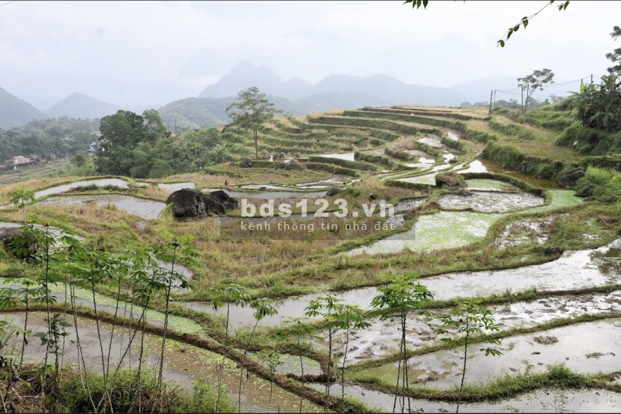 Gần 4000m2 full thổ cư tại Pù Luông, Bá Thước, Thanh Hóa. Siêu phẩm khan hiếm, độc nhất.