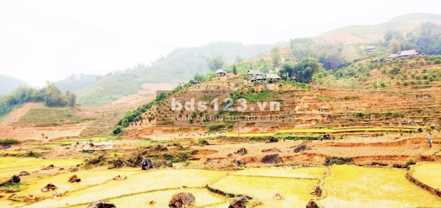 Gần 4000m2 full thổ cư tại Pù Luông, Bá Thước, Thanh Hóa. Siêu phẩm khan hiếm, độc nhất.