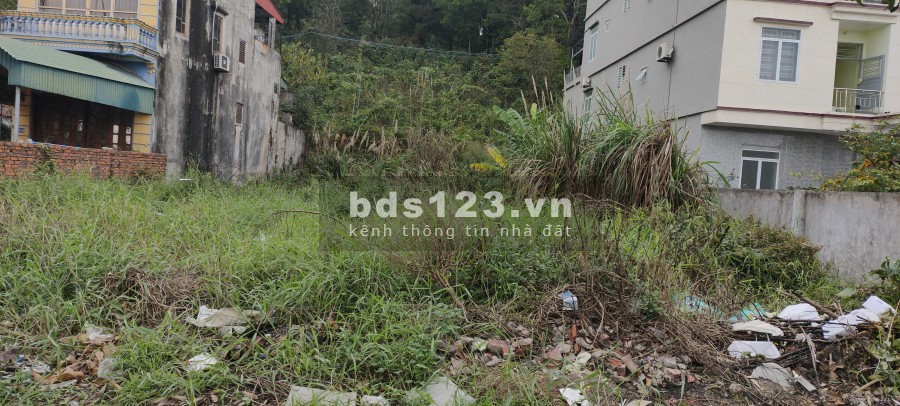 Bán đất khu đối diện dự án Hạ Long Xanh diện ích 593m2, giá bán 50 triệu/m2, sổ sẵn