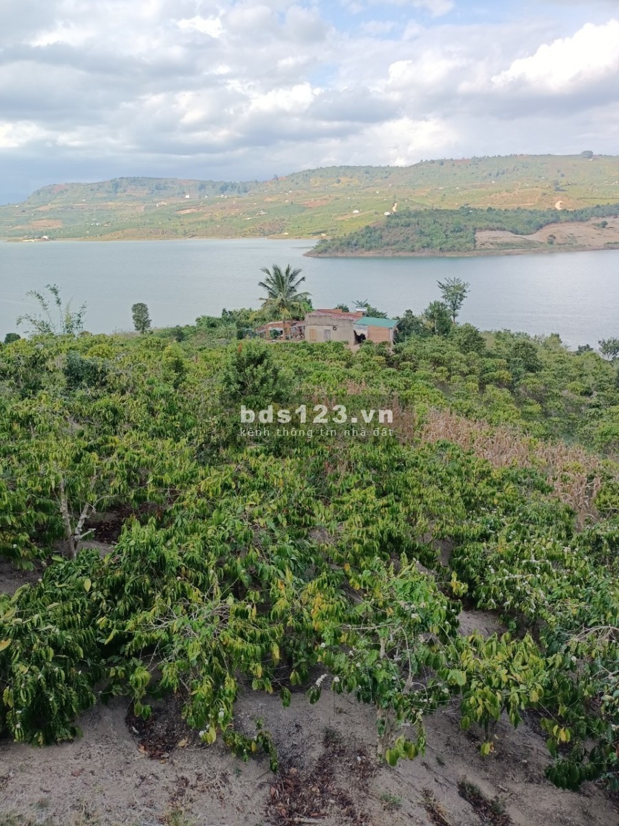 Bán đất 33.000m2 xã tân nghĩa Di Linh Lâm Đồng tiện nghỉ dưỡng, pháp lý chính chủ
