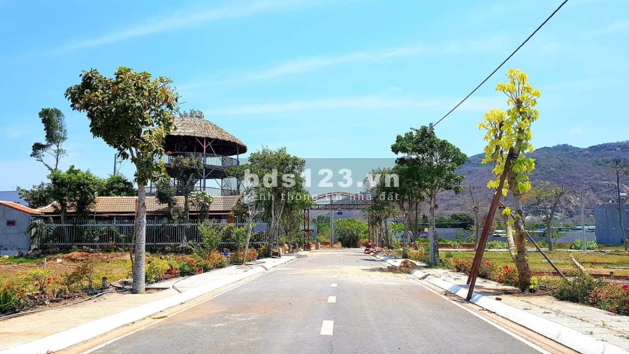 Đất Long Hải Vũng Tàu gần chợ Long Hải 2-5km mặt tiền ĐT44A 517m2 sổ sang tên ngay