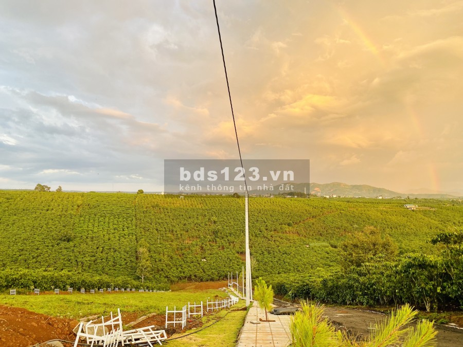 Đất nghỉ dưỡng view đep, chiết khấu 2% tặng 1 chỉ vàng, ngân hàng hỗ trợ 50% tại Bảo Lộc, Lâm Đồng