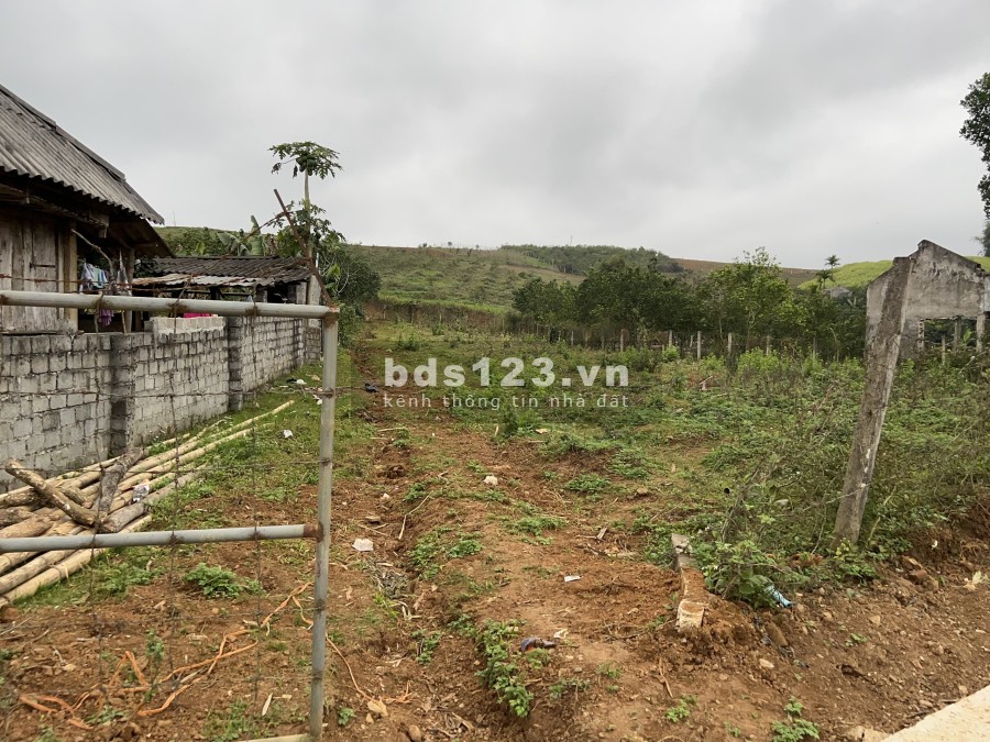 Bán đất Cao Phong Hoà Bình, pháp lý chính chủ, diện tích sử dụng 1156m2, sổ sẵn