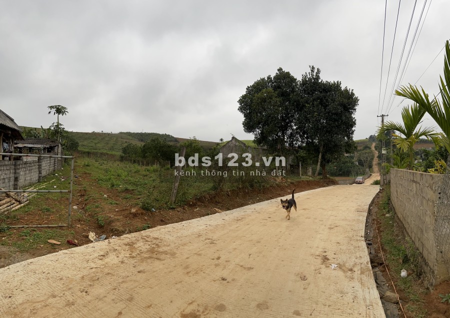 Bán đất Cao Phong Hoà Bình, pháp lý chính chủ, diện tích sử dụng 1156m2, sổ sẵn