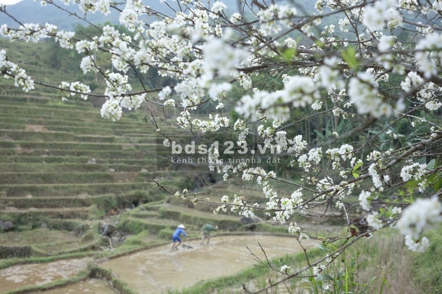 Gần 4000m2 full thổ cư tại Pù Luông, Bá Thước, Thanh Hóa. Siêu phẩm khan hiếm, độc nhất.