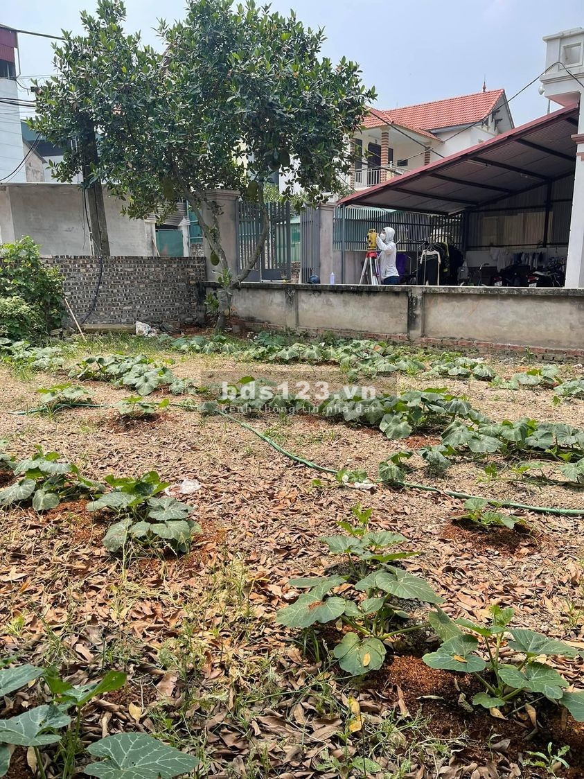 Ông anh đẹp trai nhờ bán nhanh 100m2 đường ô tô 7 chỗ Đào Xuyên, Xã Đa Tốn, Gia Lâm, Hà Nội.