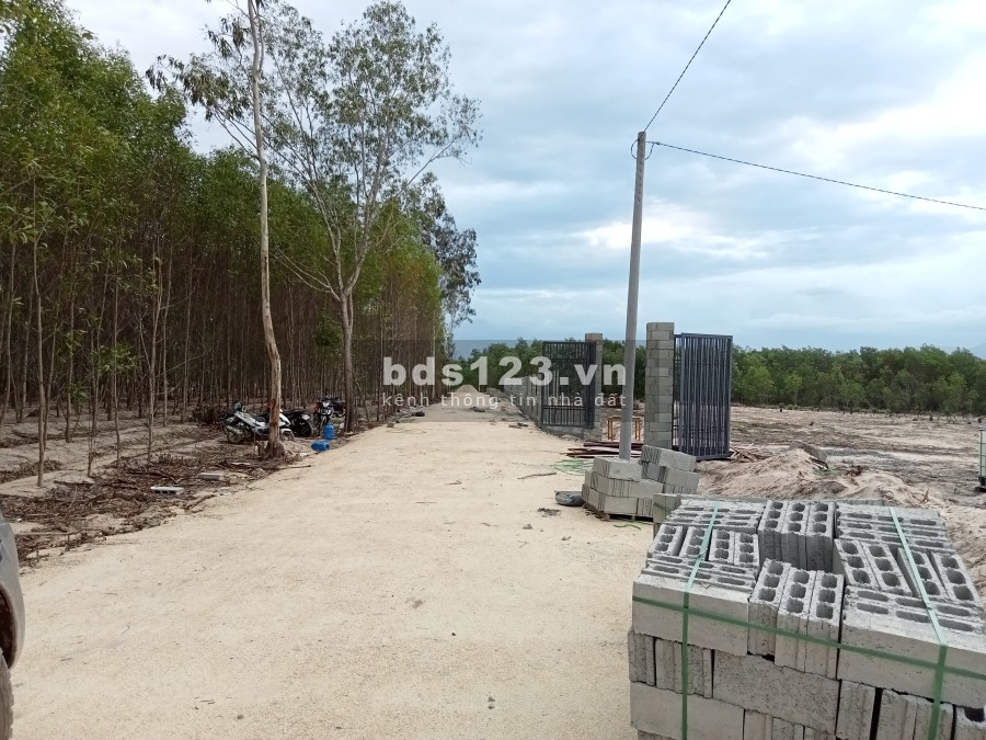 Cần bán nhanh lô đất tại thôn 1 Sơn Mỹ Hàm Tân Bình Thuận, sổ hồng riêng, sang tên nhanh gọn