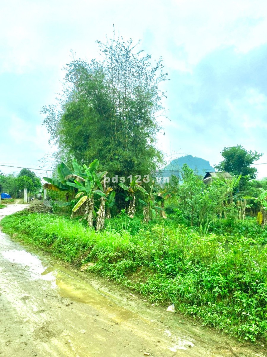 Chính chủ bán đất làm nghĩ dưỡng, homestay, giá từ chủ đầu tư, view đẹp, thông thoáng 0962705492
