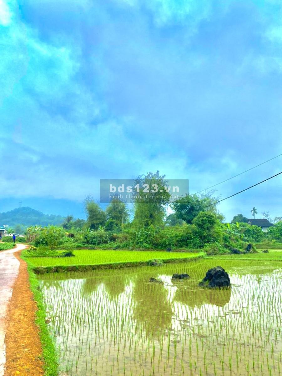 Chính chủ bán đất làm nghĩ dưỡng, homestay, giá từ chủ đầu tư, view đẹp, thông thoáng 0962705492