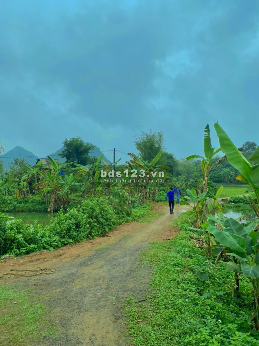Chính chủ bán đất làm nghĩ dưỡng, homestay, giá từ chủ đầu tư, view đẹp, thông thoáng 0962705492