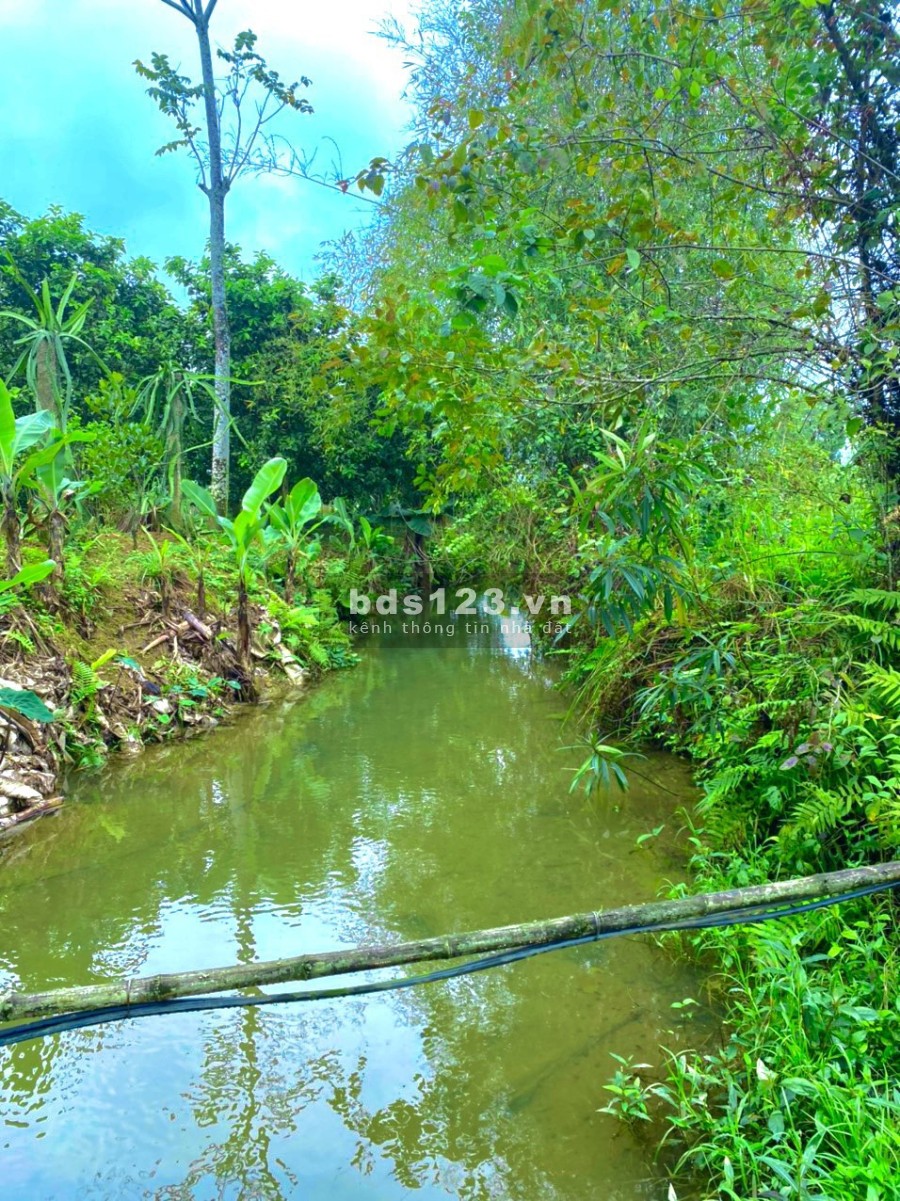 Chính chủ bán đất làm nghĩ dưỡng, homestay, giá từ chủ đầu tư, view đẹp, thông thoáng 0962705492