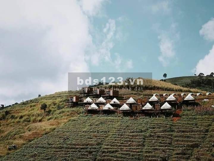 Chỉ 650tr có ngay đất nghỉ dưỡng Bảo Lộc view hồ Dak Long Thượng cách DT725 200m
