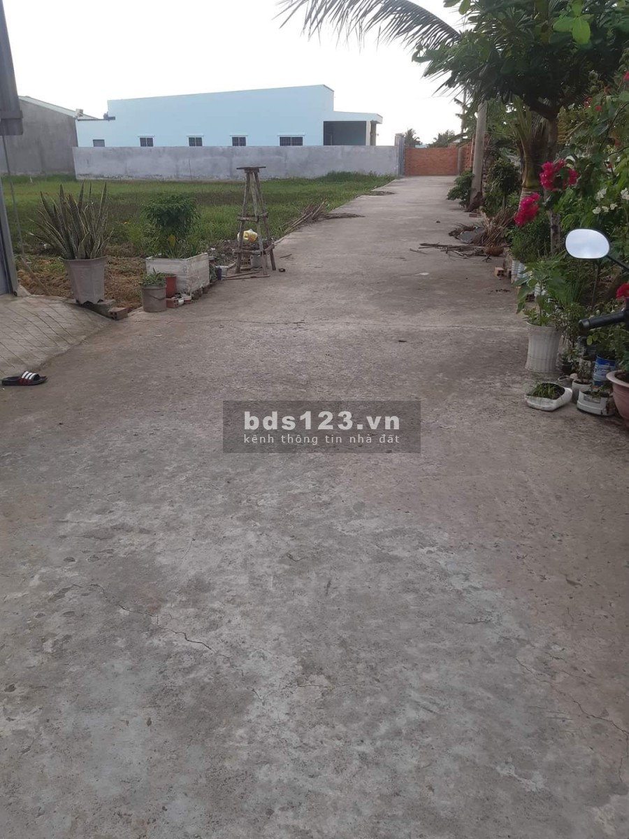 Bán đất chính chủ sổ hồng riêng hòa khánh đông, đức hòa, long an full thổ 650tr