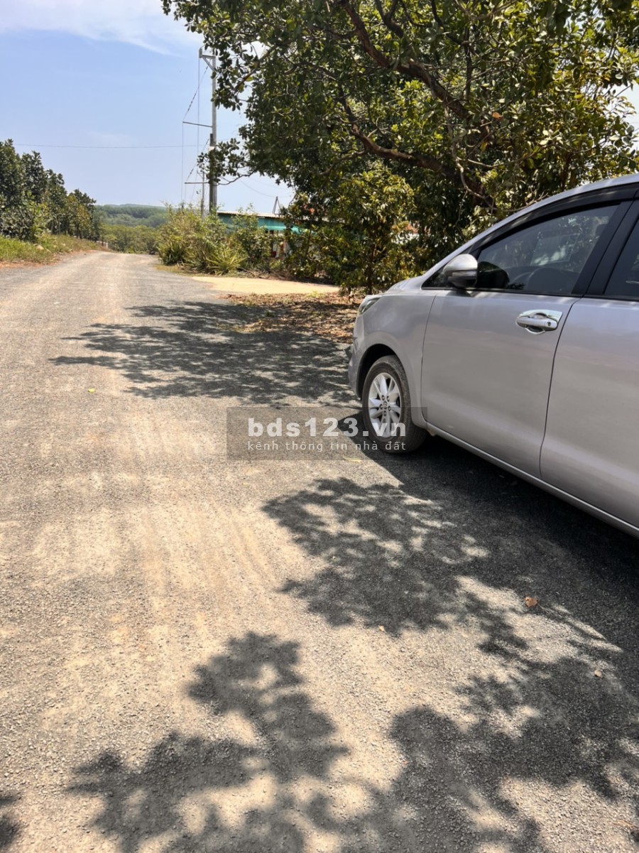Đất xào giá rẻ phù hợp cho các nhà đầu tư, đã có sổ từng nền, công chứng trong ngày