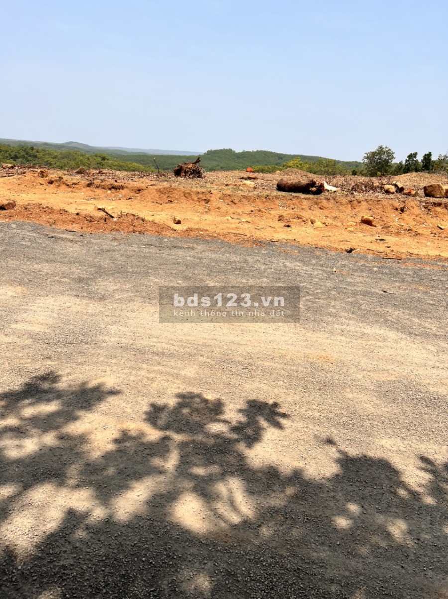 Đất xào giá rẻ phù hợp cho các nhà đầu tư, đã có sổ từng nền, công chứng trong ngày