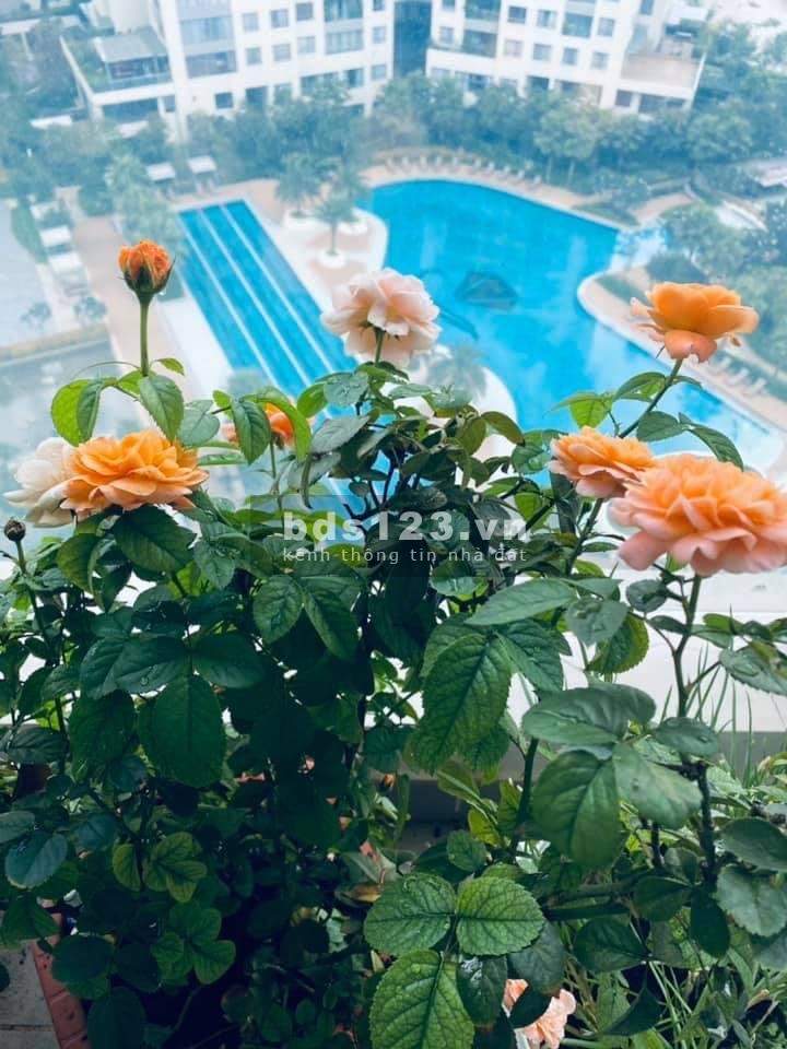 2 pn Đảo Kim Cương cần bán giá tốt thị trường giá 6.5 tỷ, bao hét liên hệ 0938221611