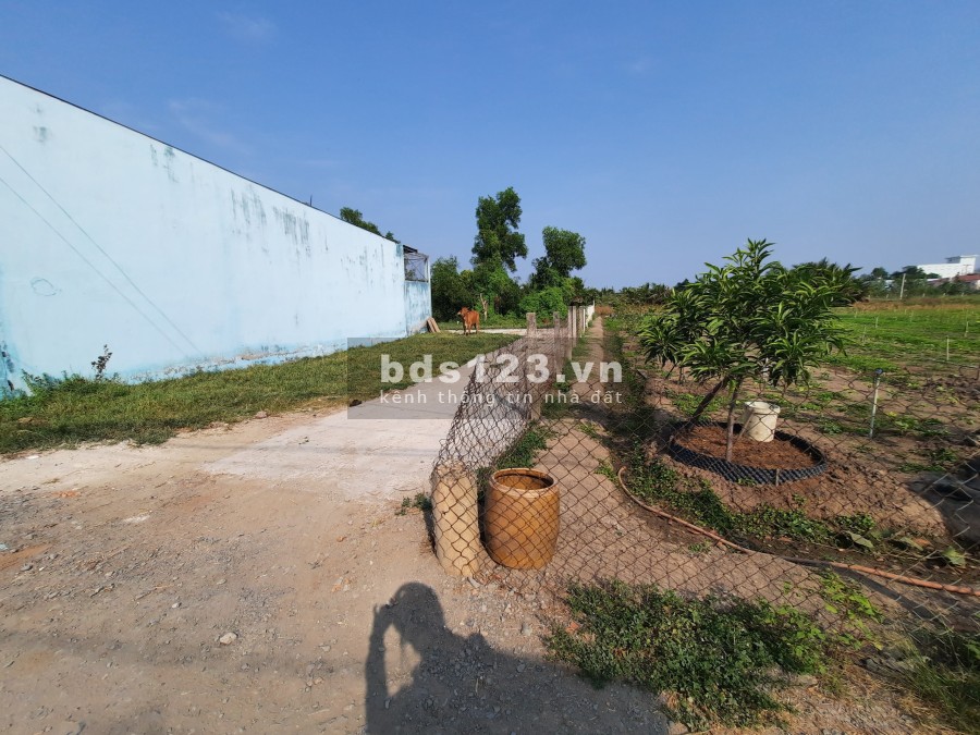 Diện tích sử dụng 90m2 đất thổ cư, sổ hồng riêng, Cần Giuộc - Long An giá 650 triệu