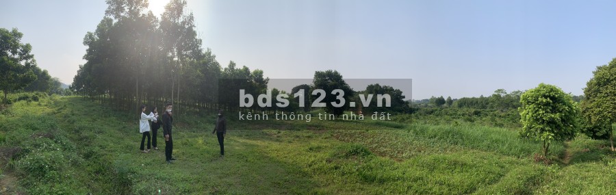 Cần thanh khoản mảnh đất tại Lương Sơn, Hoà Bình, diện tích vuông vức, giá đầu tư