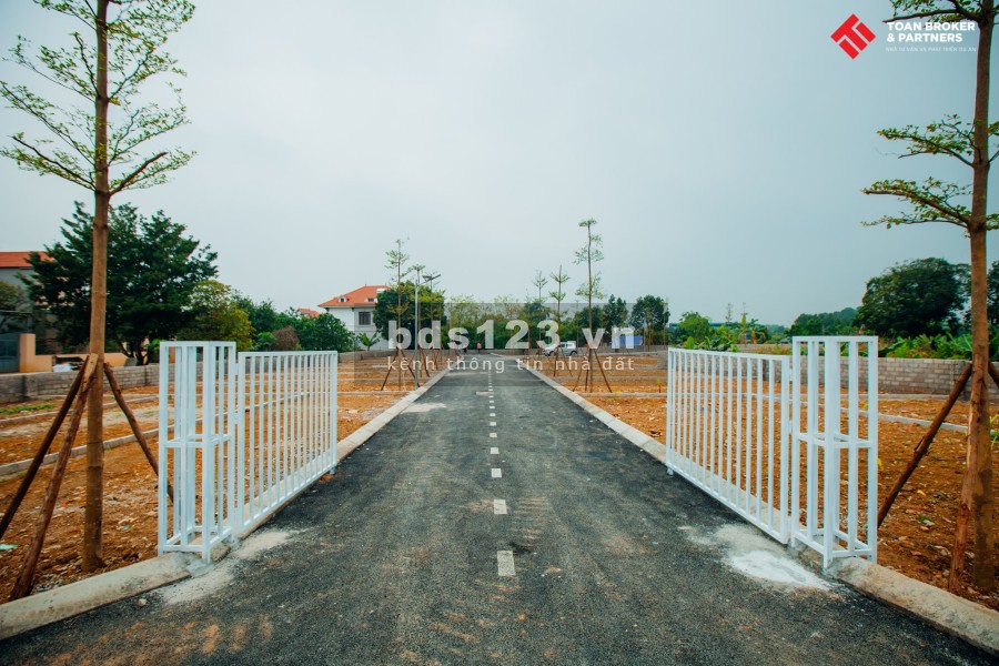 Khu vệ tinh Hoà Lạc vị trí chiến lược, phân khu Tân Xã mảnh ghép đầu tư siêu giá trị