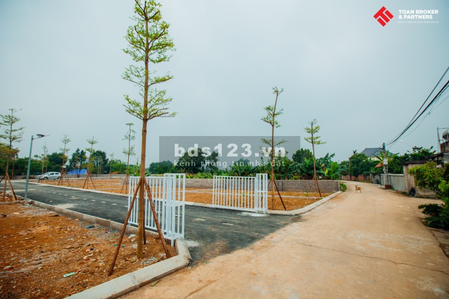 Khu vệ tinh Hoà Lạc vị trí chiến lược, phân khu Tân Xã mảnh ghép đầu tư siêu giá trị
