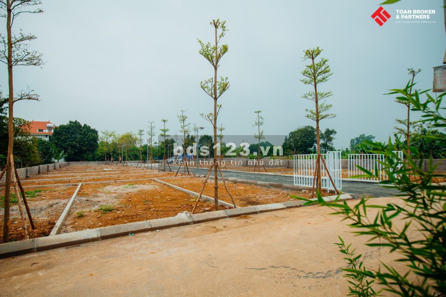 Khu vệ tinh Hoà Lạc vị trí chiến lược, phân khu Tân Xã mảnh ghép đầu tư siêu giá trị