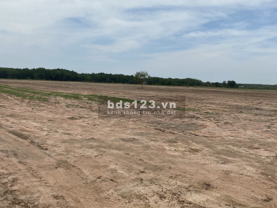 Gia đình cần bán gấp lô đất diện tích 3000m2 ngay gần Quốc Lộ 13 sô hồng riêng