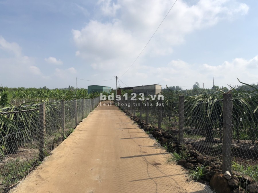 Cần trả nợ bán gấp diện tích sử dụng 856m2, giá 950 triệu đất vườn Hưng Thịnh.