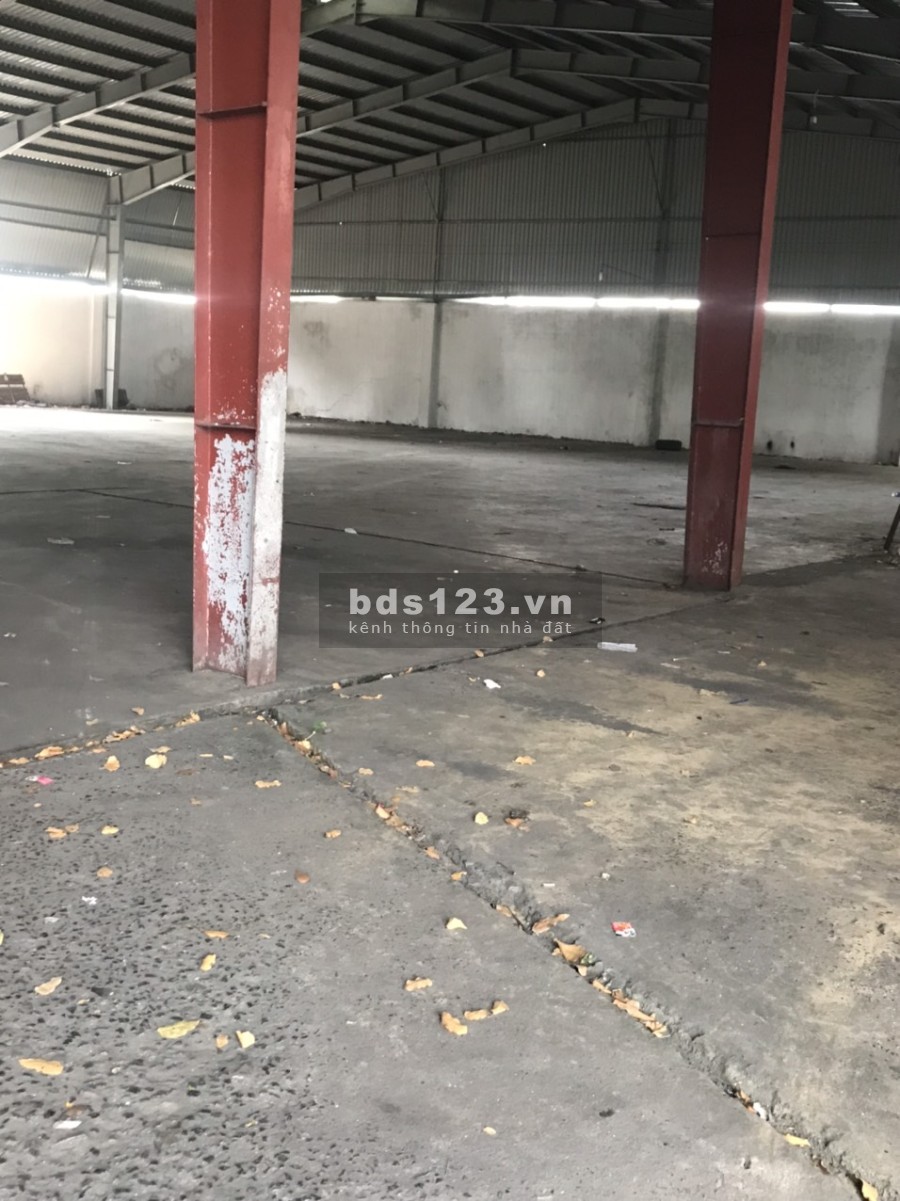 Cho thuê kho xưởng dtsd 1300m2 mặt tiền Bình Giã gần hồ Bầu Trũng giá siêu rẻ