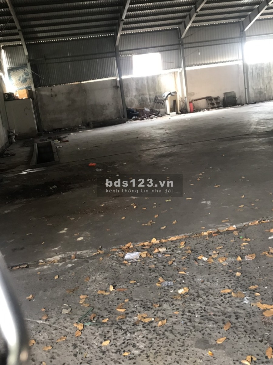 Cho thuê kho xưởng dtsd 1300m2 mặt tiền Bình Giã gần hồ Bầu Trũng giá siêu rẻ