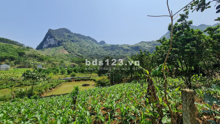 Chính chủ cần bán đất giá rẻ Đà Bắc Hoà Bình, giá tốt đầu tư sinh lời cao, pháp lý chuẩn