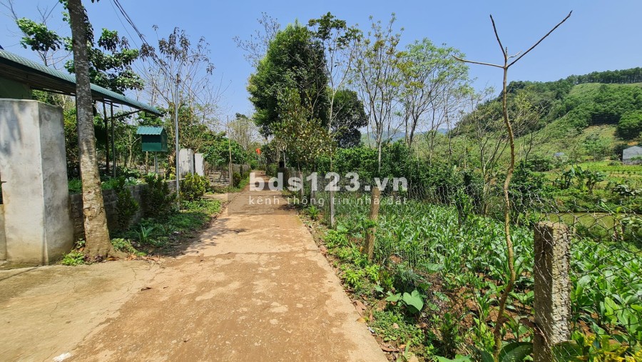 Chính chủ cần bán đất giá rẻ Đà Bắc Hoà Bình, giá tốt đầu tư sinh lời cao, pháp lý chuẩn