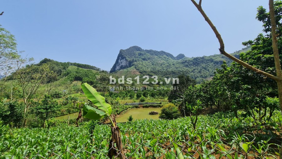 Chính chủ cần bán đất giá rẻ Đà Bắc Hoà Bình, giá tốt đầu tư sinh lời cao, pháp lý chuẩn