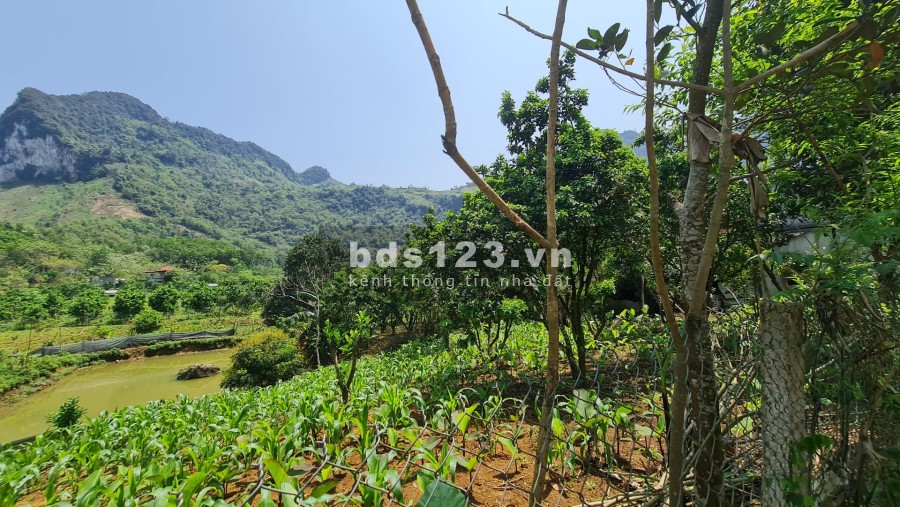 Chính chủ cần bán đất giá rẻ Đà Bắc Hoà Bình, giá tốt đầu tư sinh lời cao, pháp lý chuẩn