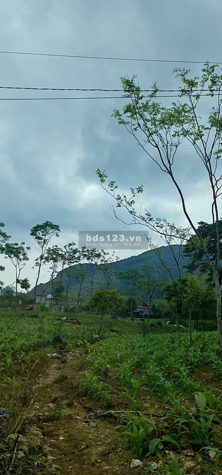 Chính chủ bán lô đất nghĩ dưỡng giá rẻ, liên hệ 0839743200 đường lớn, đầu tư sinh lời
