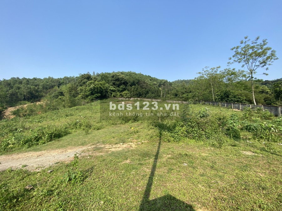 2891m 700m thổ cư đất nghỉ dưỡng Phú Mãn Quốc Oai, pháp lý chính chủ, giá tốt đầu tư