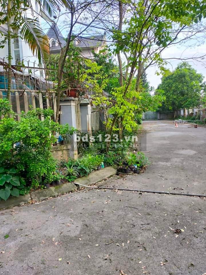 Bán Biệt thự khu Đô thị Nam Từ Sơn, giá hợp lý 48 triệu/1m2 đầu tư sinh lời