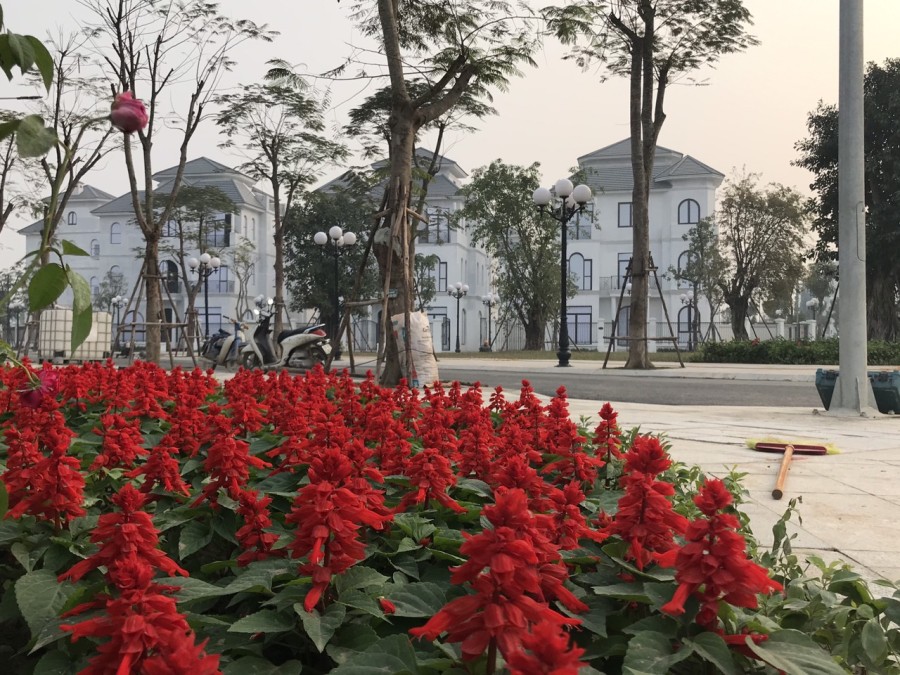 Biệt thự đơn lập VIP mặt Hồ Vinhomes Green Villas Nam Từ Liêm. Giá và Chính sách vay mới nhất.
