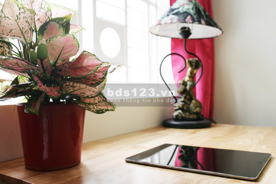 Bán căn hộ dịch vụ 15 phòng ngay sát đường Lâm Văn Bền, phường Tân Quy, Quận 7