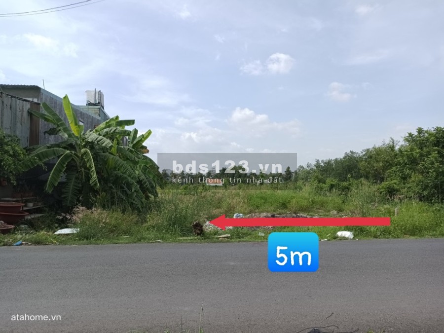 Bán đất Thới Hoà, Bến Cát, Bình Dương, khu dân cư đông đúc, giá tốt đầu tư sinh lời