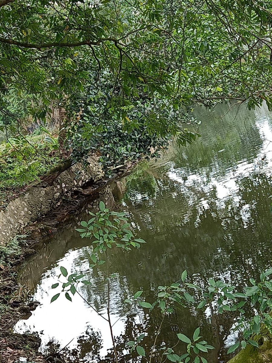 Bán Lô đất 2.740 m2 200 TC View hồ đẹp đường to ngõ rộng xuân mai hà nội